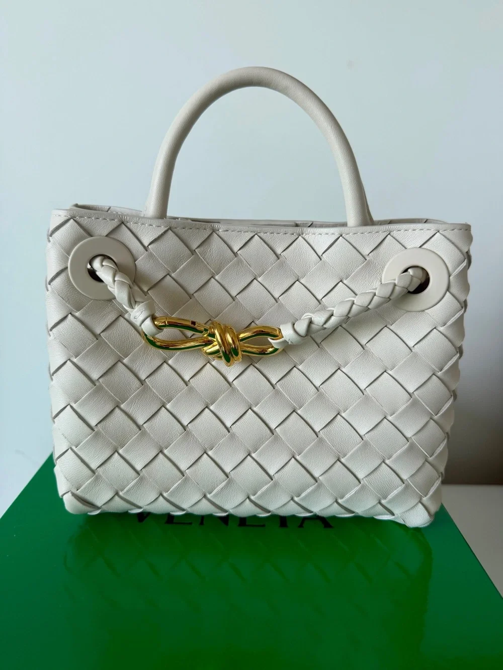 Bottega Veneta Mini Andiamo
